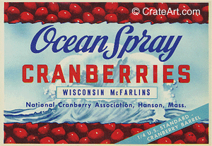 OCEAN SPRAY (C) #4