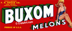 BUXOM (M)