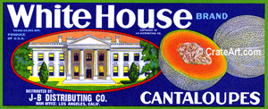 WHITE HOUSE (M) #1