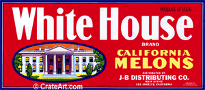 WHITE HOUSE (M) #2