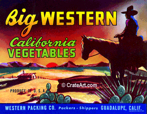 BIG WESTERN (V) #2