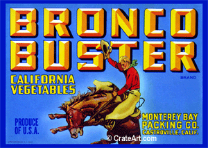 BRONCO BUSTER (V)