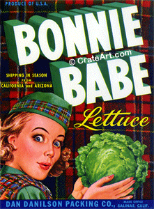 BONNIE BABE (V)