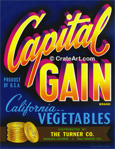 CAPITAL GAIN (V)