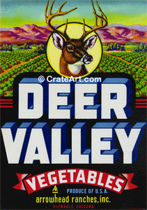 DEER VALLEY (AZ) (V) #1