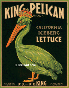 KING PELICAN (V) #1