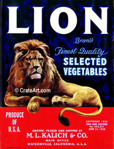 LION (V) #2