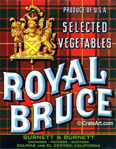 ROYAL BRUCE (V)