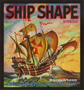 SHIP SHAPE (V)