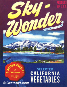 SKY WONDER (V)