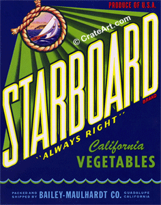 STARBOARD (V) #1