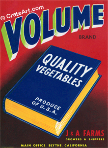 VOLUME (V)