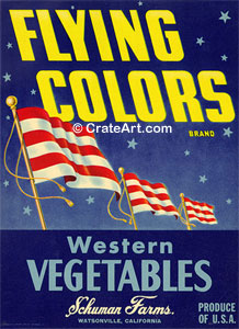 FLYING COLORS (V)