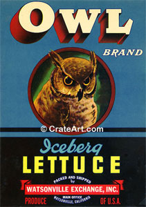 OWL (V)