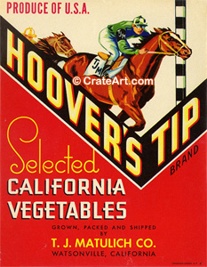 HOOVER'S TIP (V)