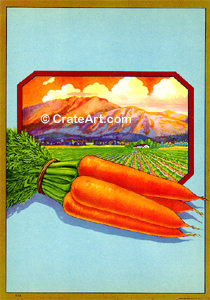 CARROTS #972 (V)