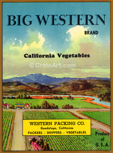 BIG WESTERN (V) #1