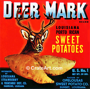 DEER MARK (Y)