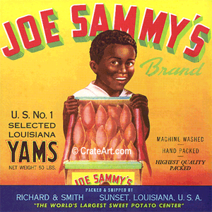 JOE SAMMY'S (Y)