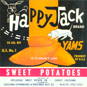 HAPPY JACK (Y)