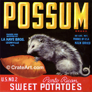 POSSUM (Y)