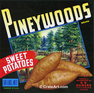 PINEYWOODS (Y)