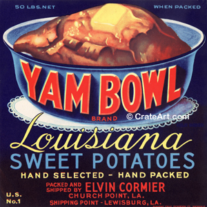 YAM BOWL (Y)