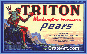 TRITON (P)