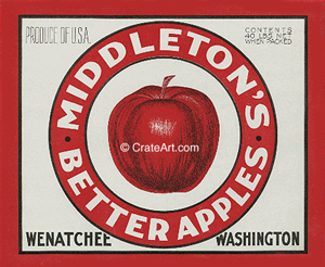 MIDDLETON'S BETTER APPLES (A)