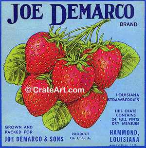 JOE DEMARCO (MF)