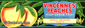 VINCENNES PEACHES (PE)