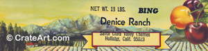 DENICE RANCH (CH)