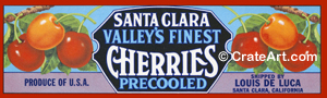 SANTA CLARA CHERRIES (CH)