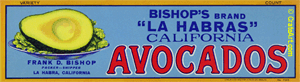 BISHOP'S (AV) #1