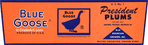 BLUE GOOSE (MF) #2