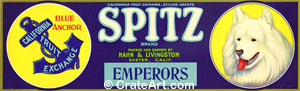 SPITZ (G)