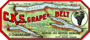 C.K.S. GRAPE BELT (NY)