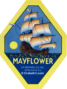 MAYFLOWER (BR)