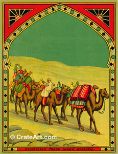 CAMEL TRADERS (CL)