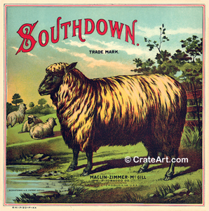 SOUTHDOWN (TO)