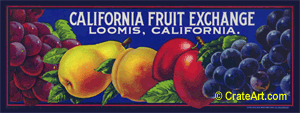 CALIFORNIA FRUIT EXCHANGE (MF)