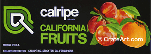 CALRIPE (MF) #1