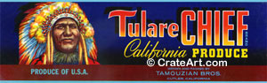 TULARE CHIEF (MF) #1