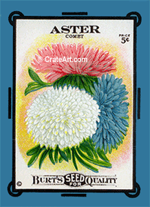 ASTER (SF) #62B