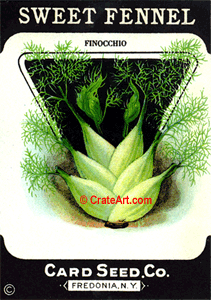 SWEET FENNEL (SH) #798