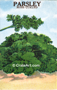 PARSLEY (SH) #49