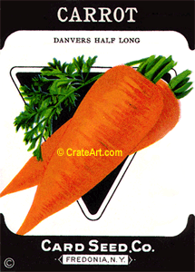 CARROT (SV) #822