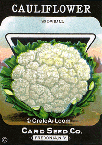 CAULIFLOWER (SV) #555 S