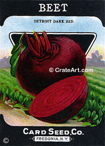 BEET (SV) #372