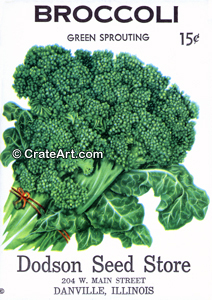 BROCCOLI (SV) #3110